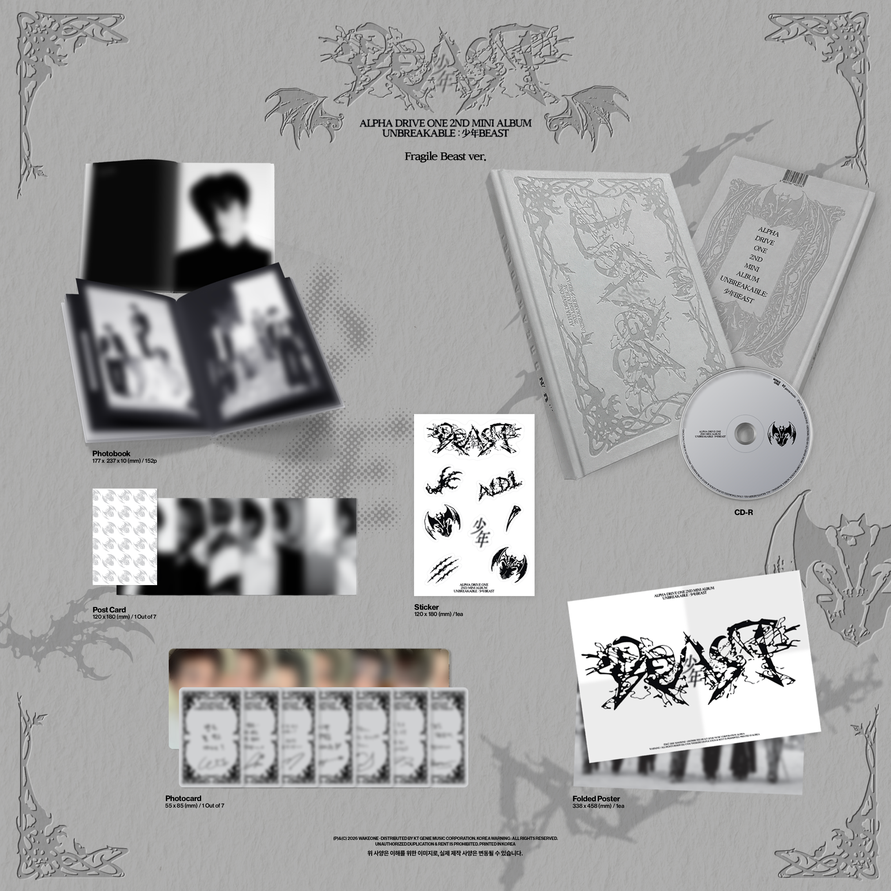 UNBREAKABLE : 少年BEAST (Fragile Beast Ver.) detail 2